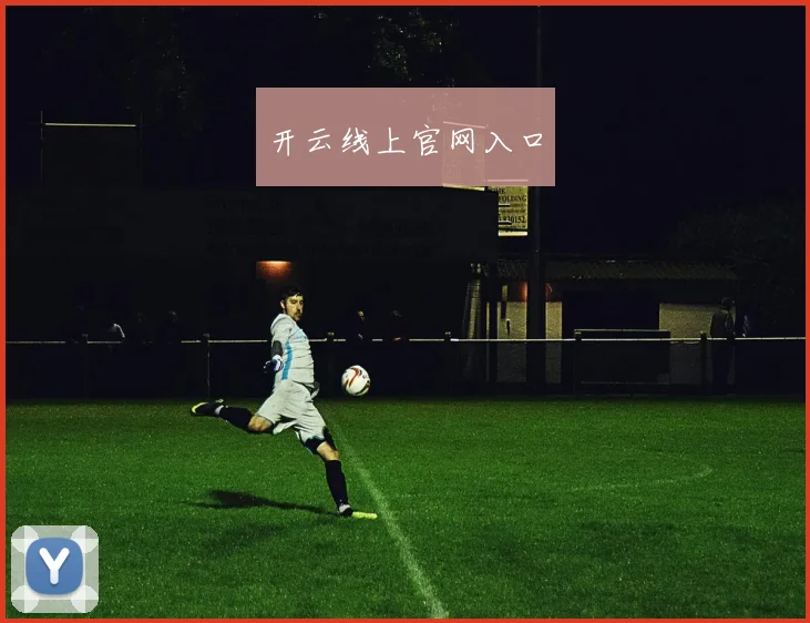 开云线上官网入口