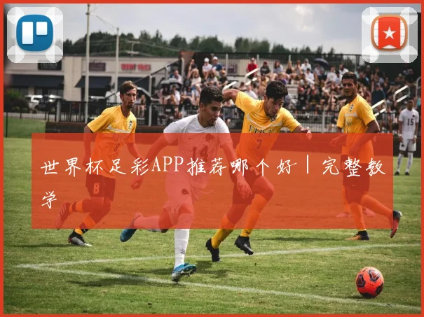 世界杯足彩APP推荐哪个好｜完整教学