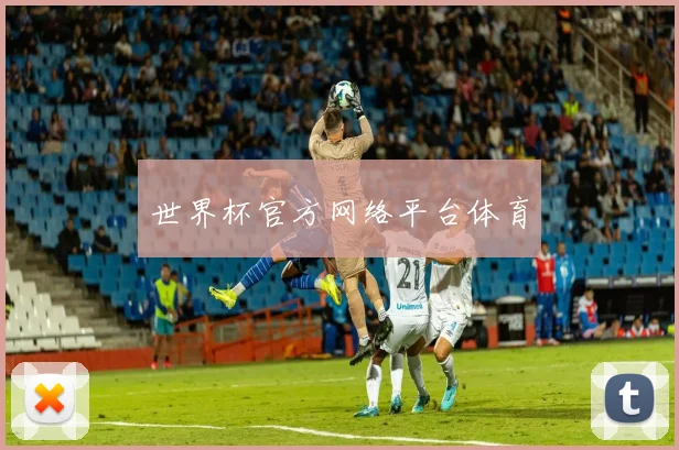 世界杯官方网络平台体育