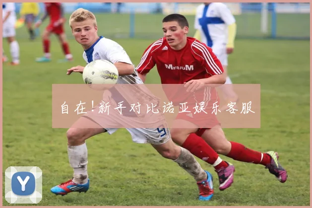 自在!新手对比诺亚娱乐客服