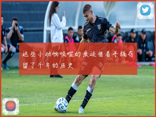 这些小动物咬噬的痕迹借着手稿存留了千年的历史