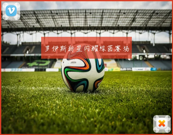 罗伊斯新星闪耀绿茵赛场