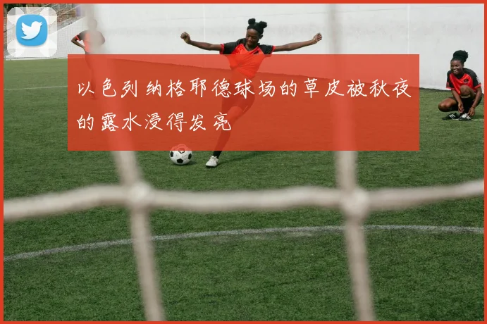 以色列纳格耶德球场的草皮被秋夜的露水浸得发亮