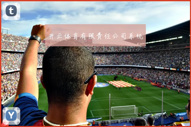 开云体育有限责任公司系统