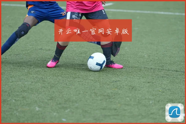 开云唯一官网安卓版