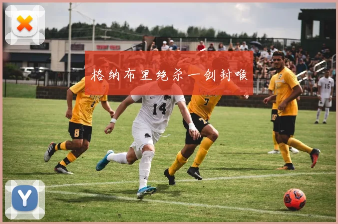 格纳布里绝杀一剑封喉