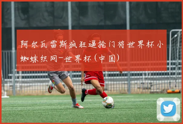 阿尔瓦雷斯疯狂逼抢门将世界杯小蜘蛛织网-世界杯(中国)