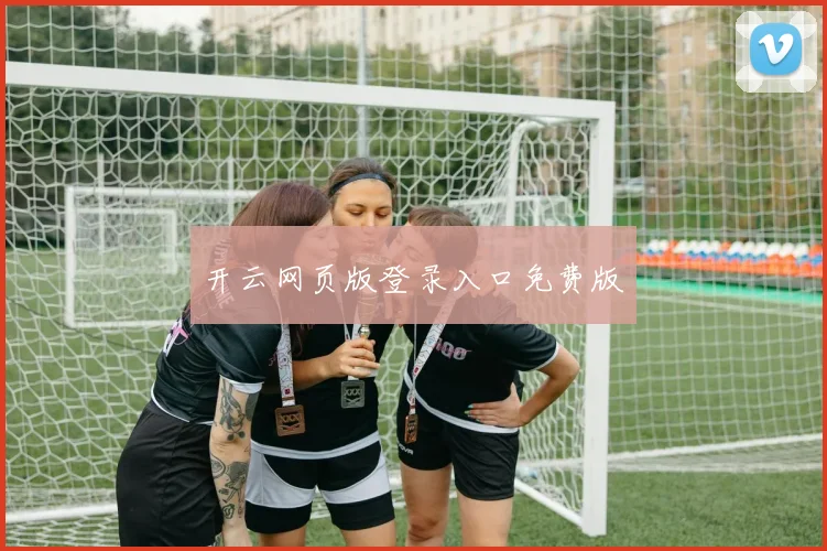 开云网页版登录入口免费版
