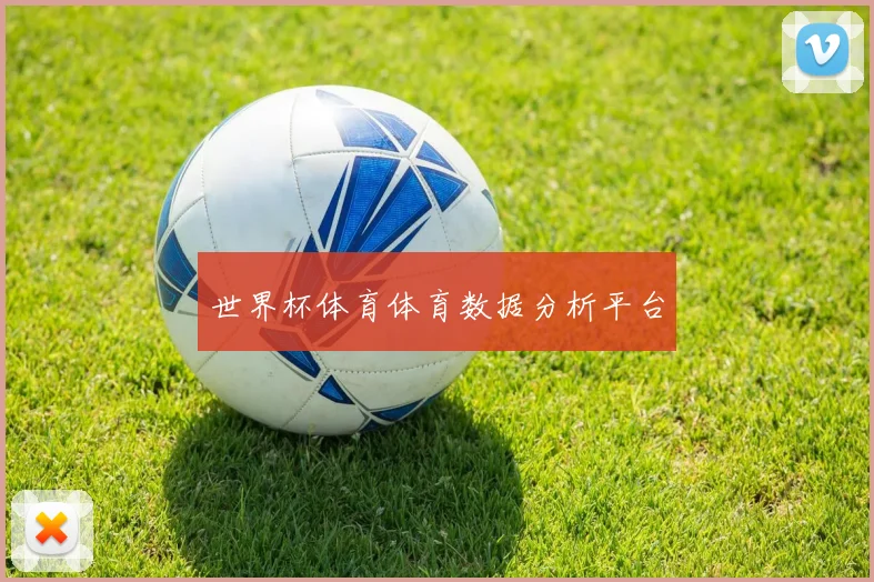 世界杯体育体育数据分析平台
