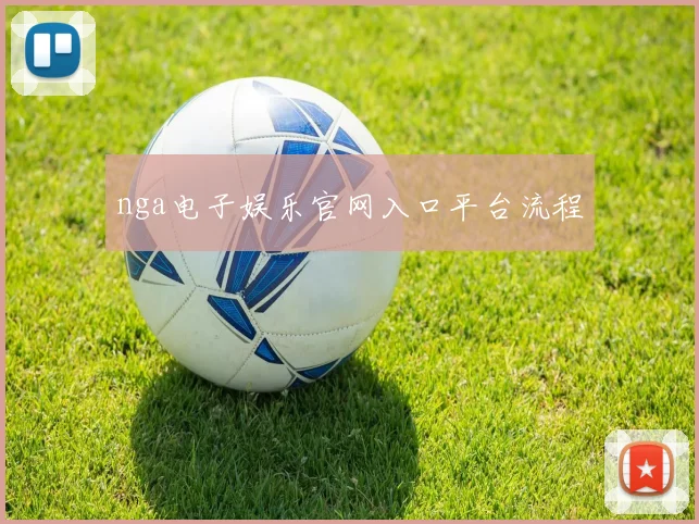 nga电子娱乐官网入口平台流程