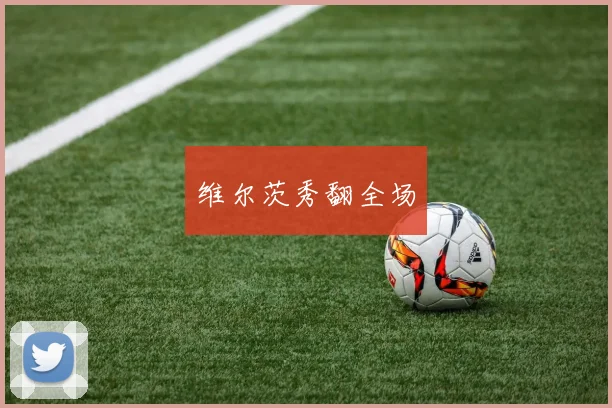 维尔茨秀翻全场