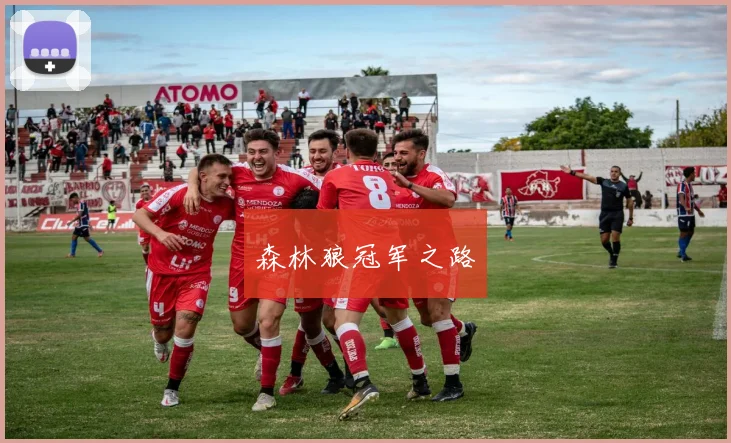 森林狼冠军之路
