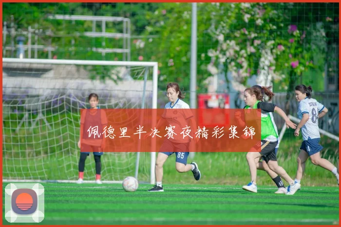 佩德里半决赛夜精彩集锦
