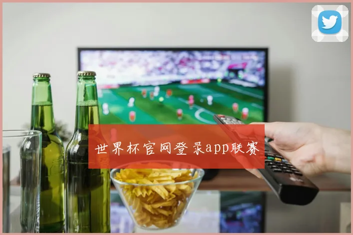 世界杯官网登录app联赛