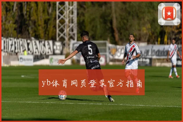 yb体育网页登录官方指南