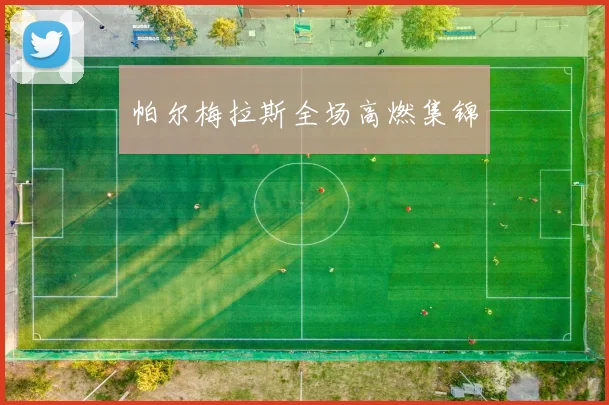 帕尔梅拉斯全场高燃集锦