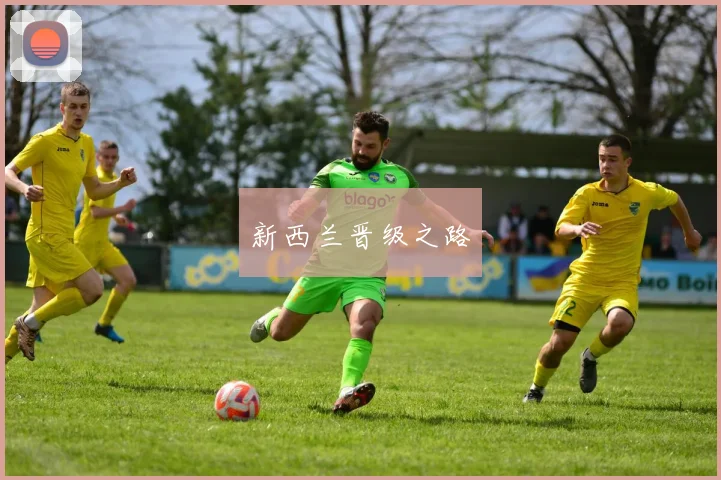 新西兰晋级之路