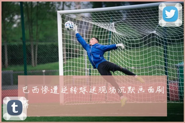 巴西惨遭逆转球迷现场沉默画面刷屏