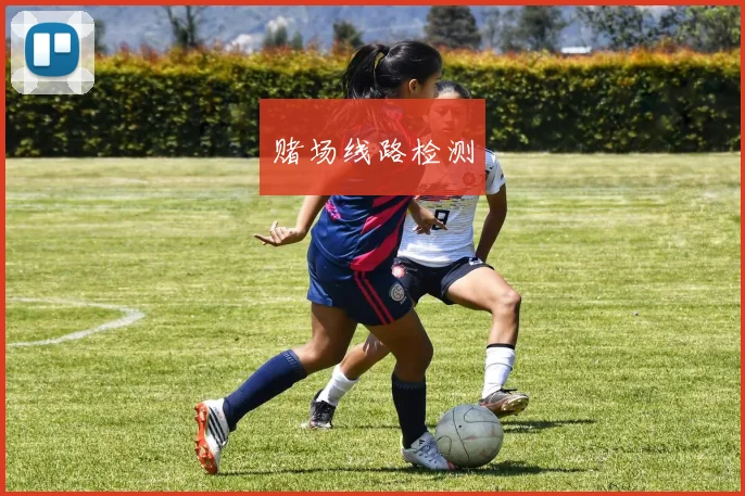 赌场线路检测
