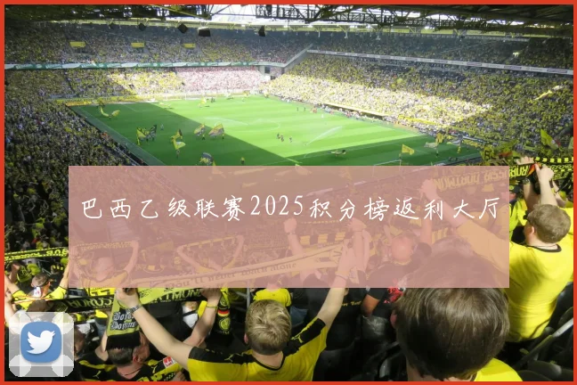 巴西乙级联赛2025积分榜返利大厅