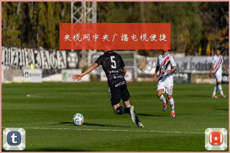 央视网中央广播电视便捷