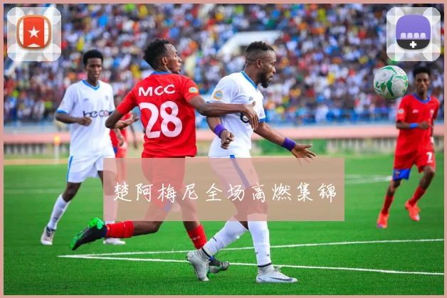 楚阿梅尼全场高燃集锦