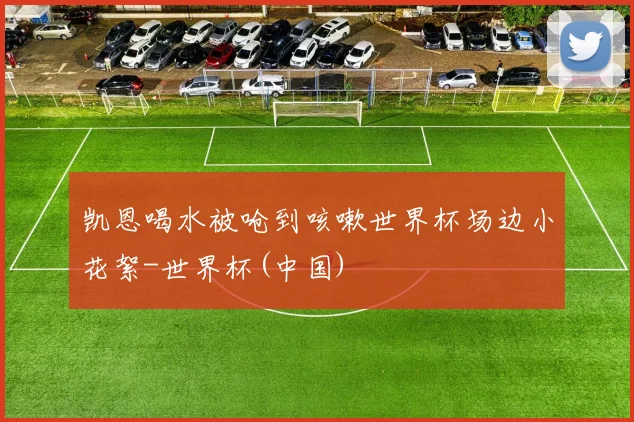 凯恩喝水被呛到咳嗽世界杯场边小花絮-世界杯(中国)