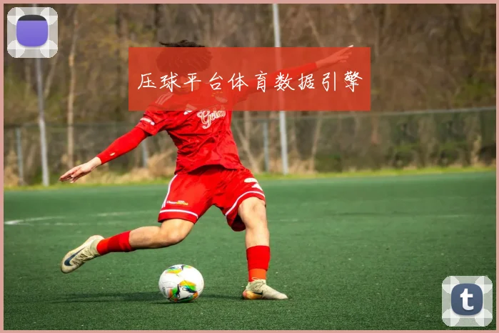 压球平台体育数据引擎