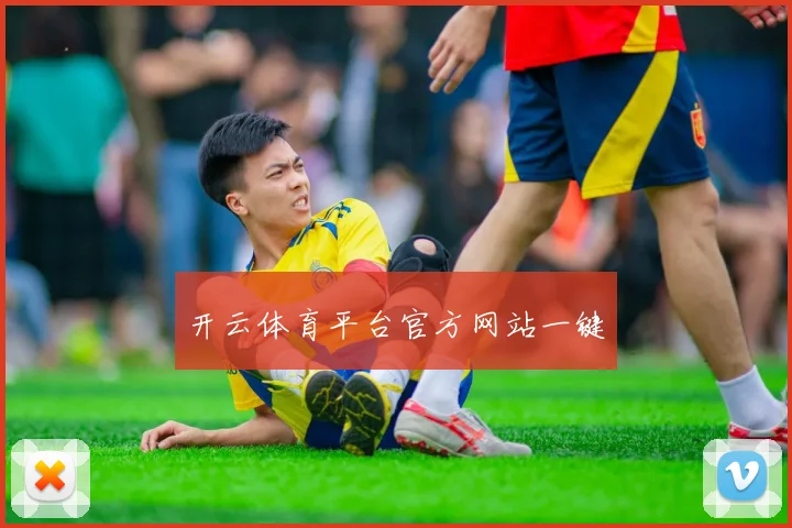 开云体育平台官方网站一键
