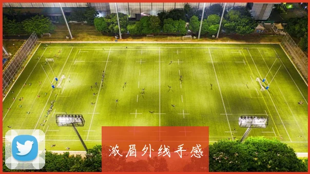 浓眉外线手感