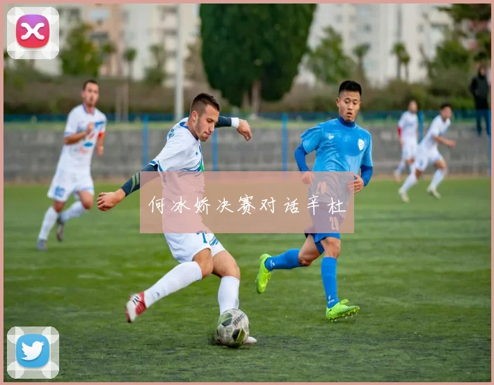 何冰娇决赛对话辛杜