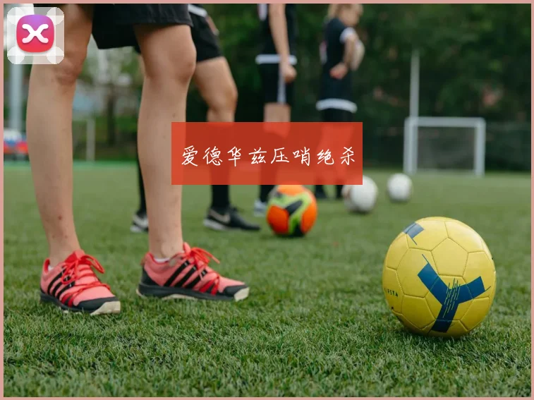 爱德华兹压哨绝杀