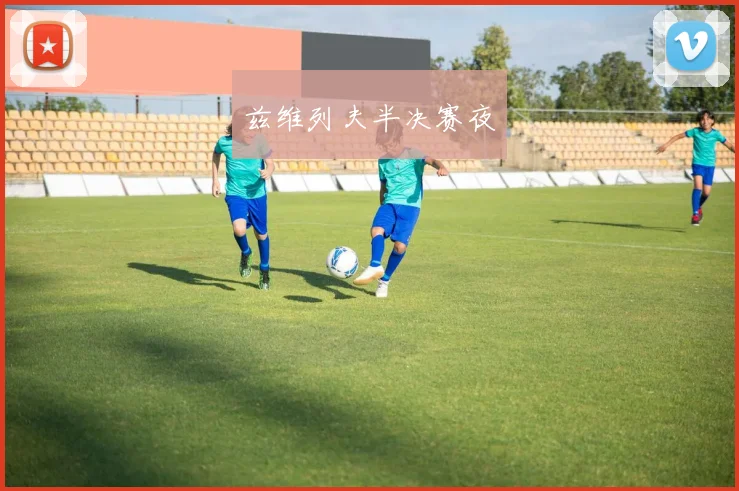 兹维列夫半决赛夜