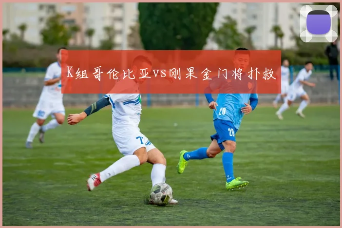 K组哥伦比亚vs刚果金门将扑救