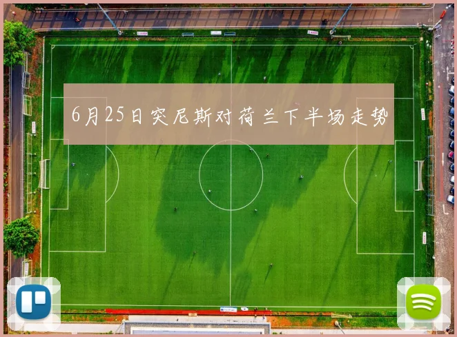 6月25日突尼斯对荷兰下半场走势