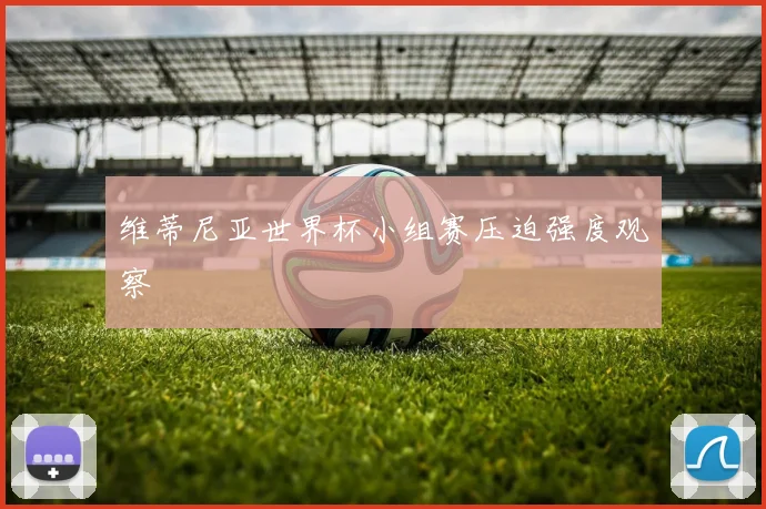 维蒂尼亚世界杯小组赛压迫强度观察