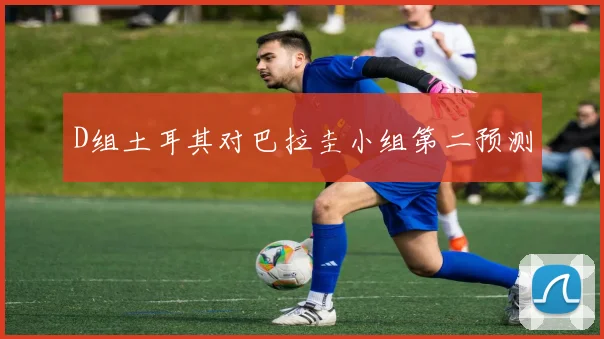 D组土耳其对巴拉圭小组第二预测