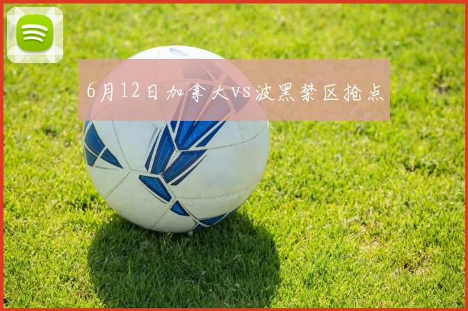 6月12日加拿大vs波黑禁区抢点