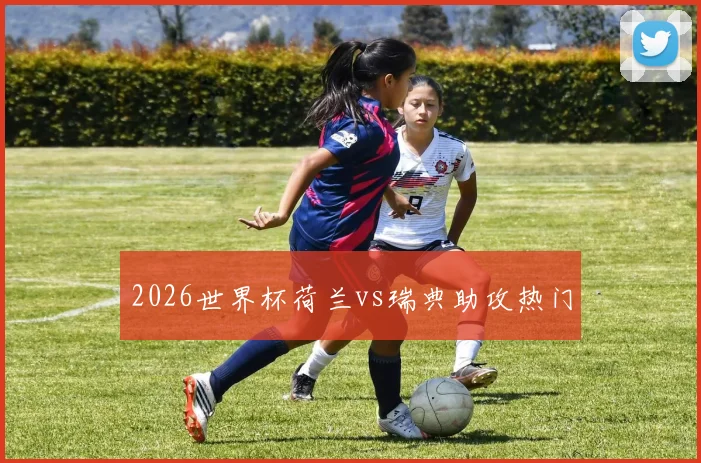 2026世界杯荷兰vs瑞典助攻热门