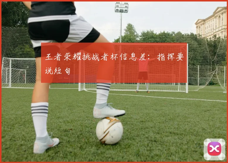 王者荣耀挑战者杯信息差：指挥要说短句