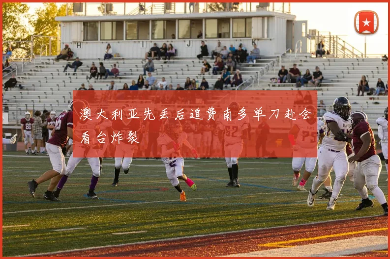 澳大利亚先丢后追费南多单刀赴会看台炸裂