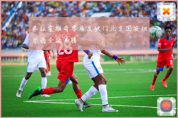 弗拉霍维奇零角度破门北京国安切尔西全场沸腾